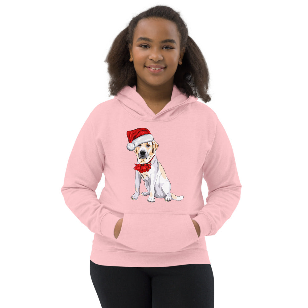 Cool Dog Wearing Santa Claus Hat, Hoodies, No. 0062