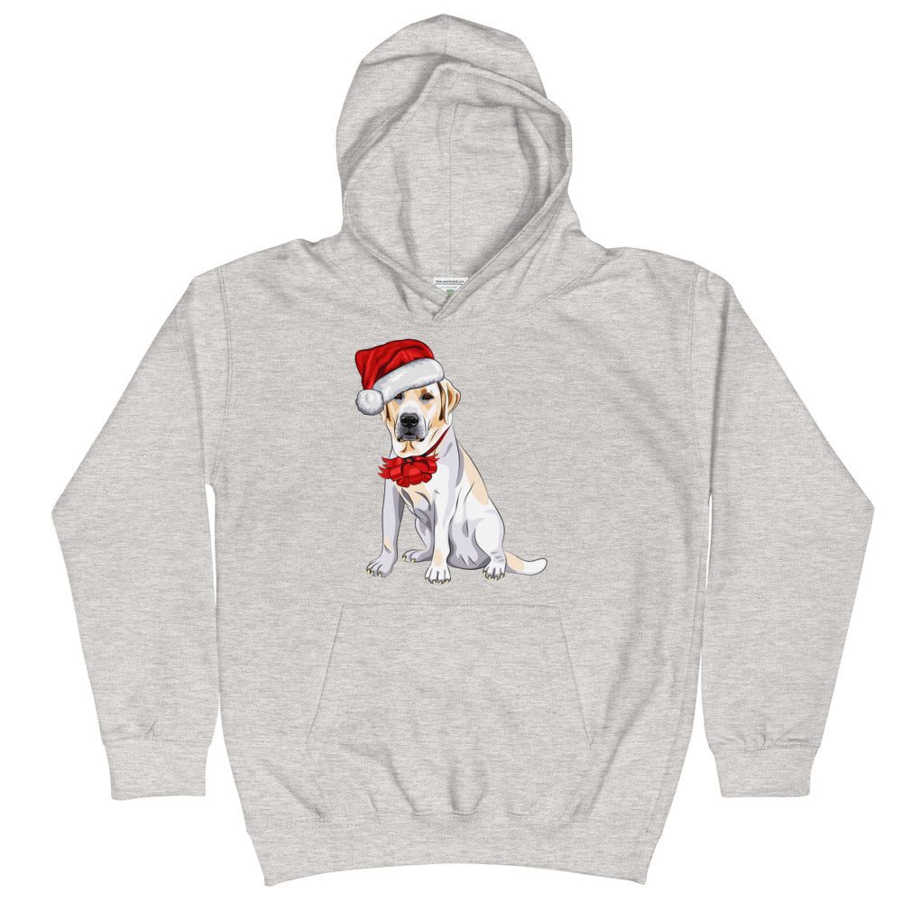 Cool Dog Wearing Santa Claus Hat, Hoodies, No. 0062