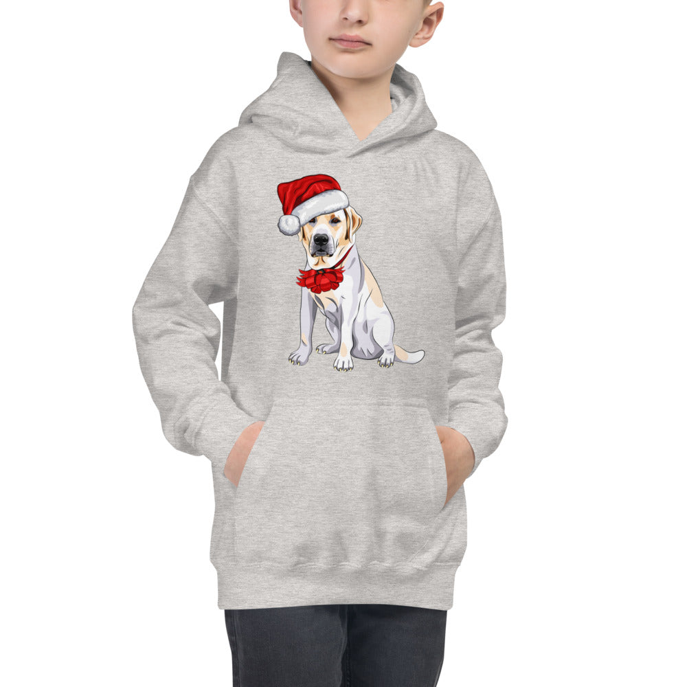 Cool Dog Wearing Santa Claus Hat, Hoodies, No. 0062