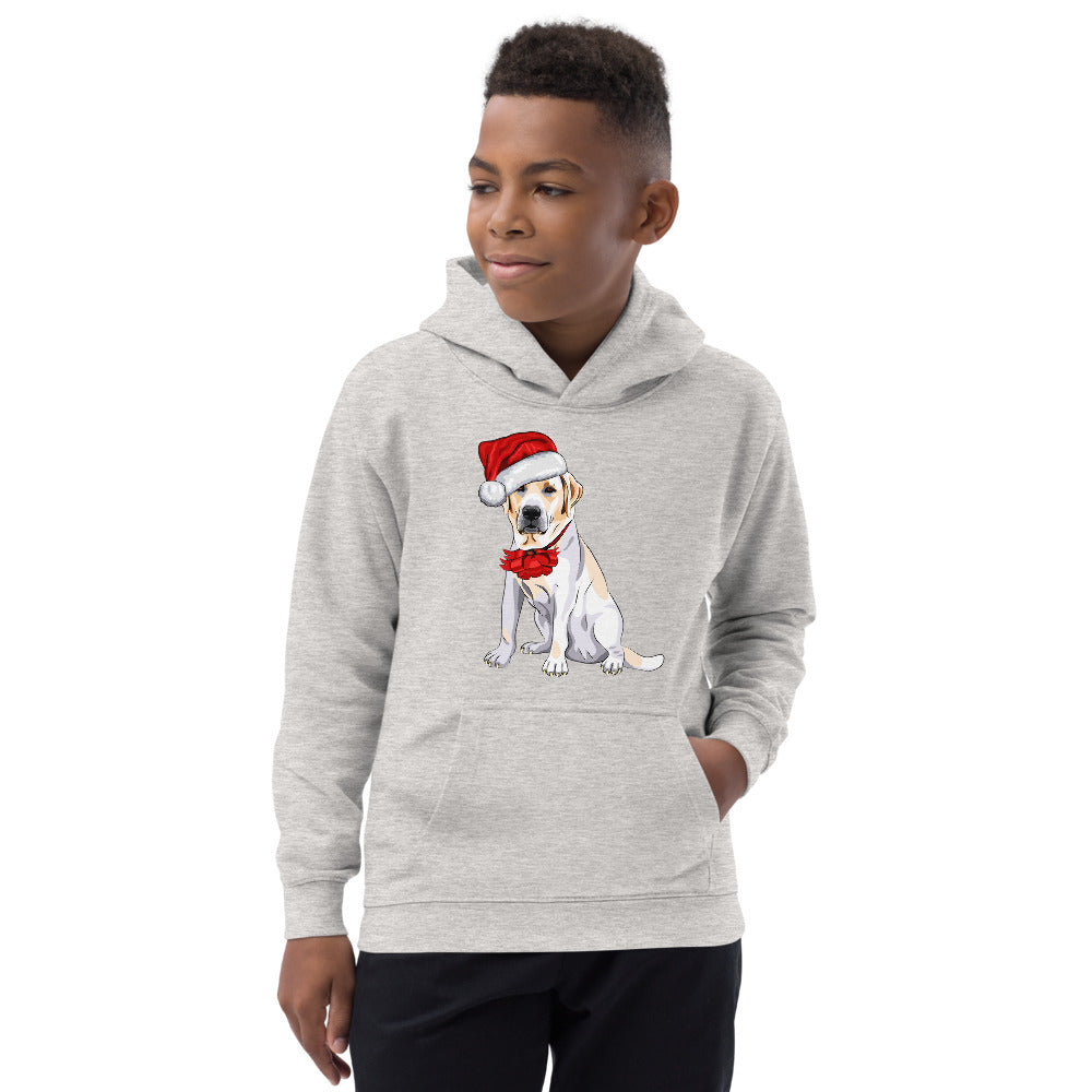 Cool Dog Wearing Santa Claus Hat, Hoodies, No. 0062