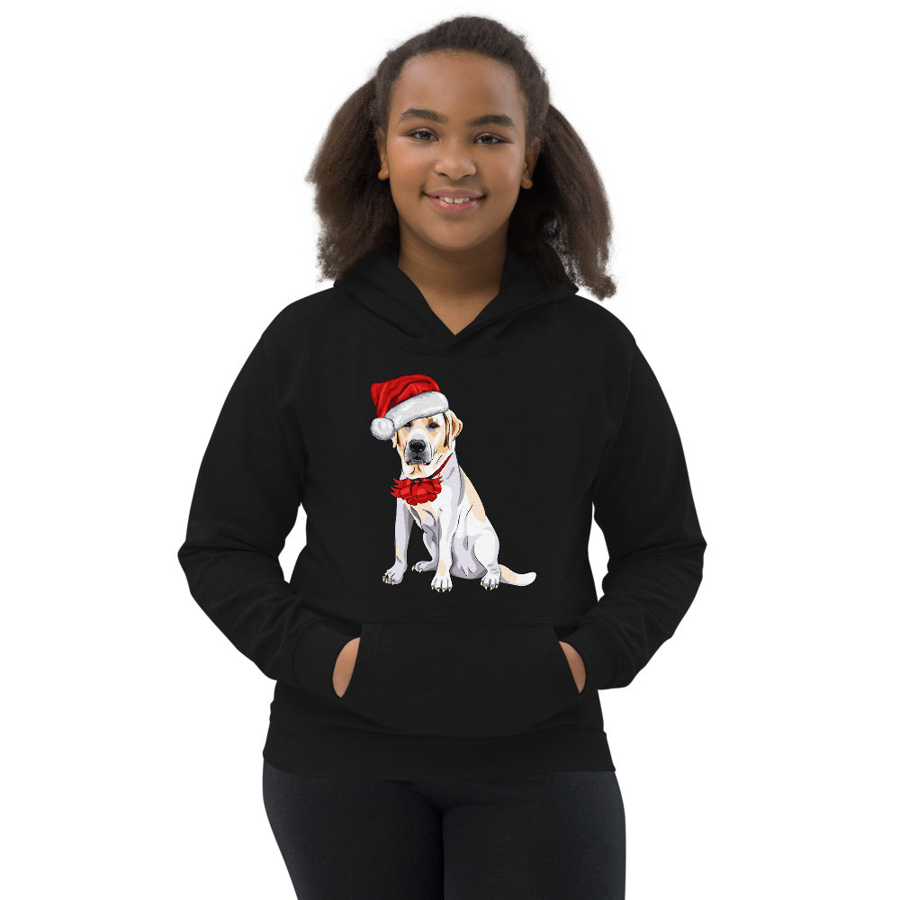 Cool Dog Wearing Santa Claus Hat, Hoodies, No. 0062