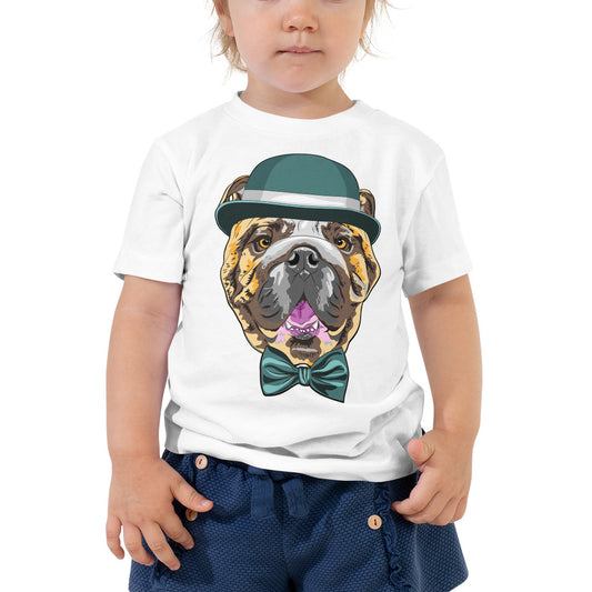 English Bulldog Dog wears hat, T-shirts, No. 0243