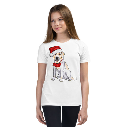 Cool Dog Wearing Santa Claus Hat T-shirt, No. 0062